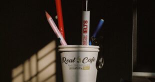 A creative desk arrangement with a cup holding pens and pencils illuminated by warm sunlight, casting intriguing shadows.