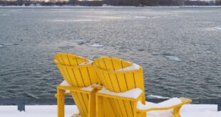 Two yellow Muskoka chairs covered in snow overlooking a serene Lake Ontario in Toronto.