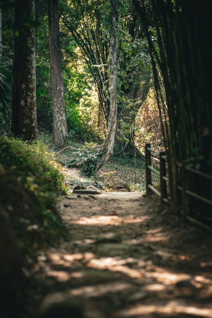 Editing Instagram photos with free apps in Ghana