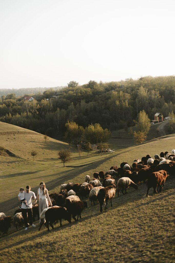 Farming Traditions in Akan Communities