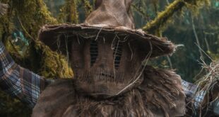A scarecrow in a mystical forest setting in Choachí, Colombia, with eerie atmosphere.
