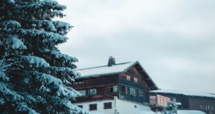 Serene winter scene of a snowy chalet nestled in a forest, Megève, Auvergne-Rhône-Alpes.
