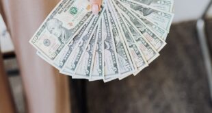A person holds fanned US dollar bills, symbolizing wealth and finance.