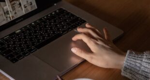 A person browsing stock photos on a laptop while enjoying a bowl of cereal at home.