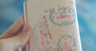 A close-up view of a hand holding an open passport with various stamps, highlighting travel experiences.