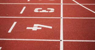 Close-up view of a red running track with numbered starting lanes, perfect for athletic themes.