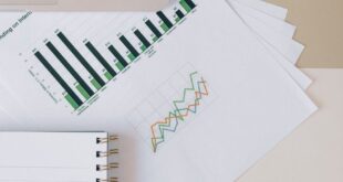 Flat lay of a workspace featuring a laptop, graphs, and a notebook for financial analysis.