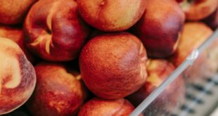 From above of pile of fresh ripe tasty nectarines and peaces in glass containers placed in grocery market