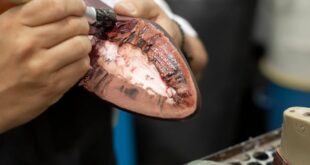Close-up of a shoemaker meticulously repairing a leather sole indoors.