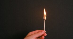 A hand holds a burning matchstick against a dark backdrop, symbolizing ignition and potential light.