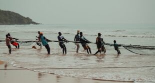 Group of fishermen pulling a fishing net on the beach in Kumasi, Ghana.