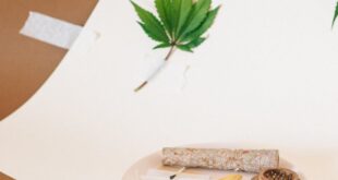 Flat lay of cannabis leaves, grinder, and rolling paper on an artistic beige and brown backdrop.
