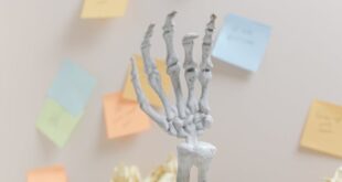 A skeleton hand amongst scattered papers and colorful sticky notes in a cluttered office setting.