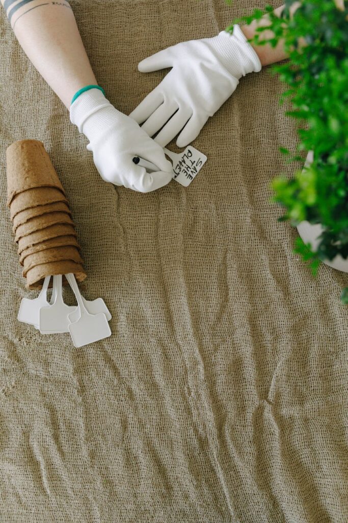 List of Ghanaian artistes signed to international labels