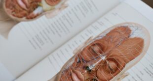 Detailed anatomical illustration of facial structures in an open medical book.