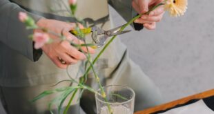 A woman in green outfit trimming flowers for a floral arrangement indoors.