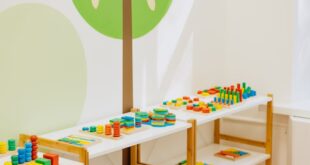 Brightly colored educational toys neatly arranged on open shelves in a kindergarten classroom.