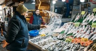 Men at a bustling Turkish fish market showcasing fresh catch of the day.