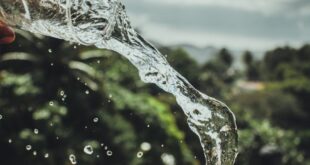 Crystal clear water being poured from a glass against a natural backdrop.