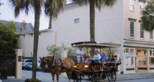 Free stock photo of blue hour, charleston, city