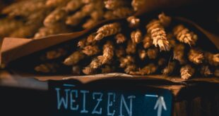 Dark and warm-toned image of wheat bundles with a hand-written price sign at a cozy market setting.