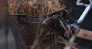 Close-up of a vintage bike with a basket of dried flowers parked on a city street.