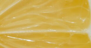 Macro texture of fresh lemon slice with ripe juicy pulp