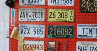 Vintage license plates from various states displayed on a workshop wall with automotive decor.