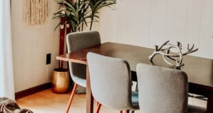 A modern chalet interior featuring a mix of contemporary furniture and natural decor elements.