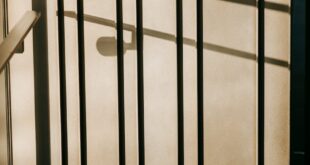 Minimalist photograph of vertical metal railings casting shadows on a wall.