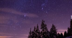 A breathtaking view of a starry winter night sky over snowy trees in Viuz-la-Chiésaz, France.