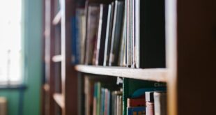 A sunlit library bookshelf with various books showcases knowledge and learning.
