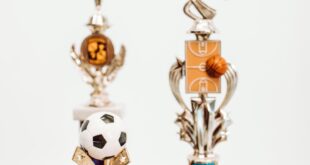 Close-up of various sports trophies featuring basketball and soccer designs on a table.