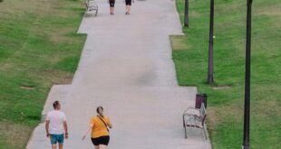 People enjoying a summer walk in a Valencia park with lush greenery.