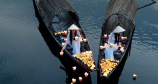 Scenic view of traditional lantern boats on the tranquil Perfume River in Hue, Vietnam.