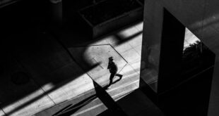 Black and white silhouette of a solitary walker casting a long shadow on an urban street.