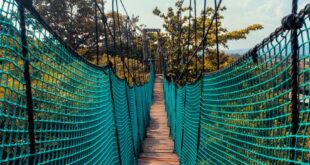 A scenic view of a suspension bridge with green nets in a lush forest setting.