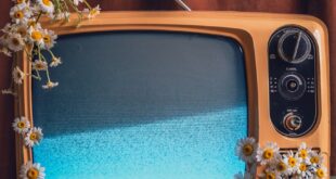 Retro television adorned with daisies, symbolizing nostalgia and nature.